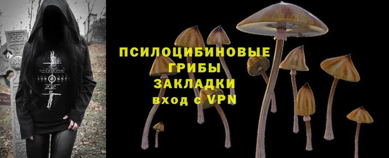 Псилоцибиновые грибы Psilocybe  блэк спрут ТОР  Вышний Волочёк  хочу  